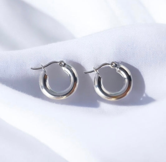elegant minimalist stainless steel earrings in silver